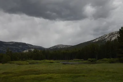 DSC_4487 (Large).JPG